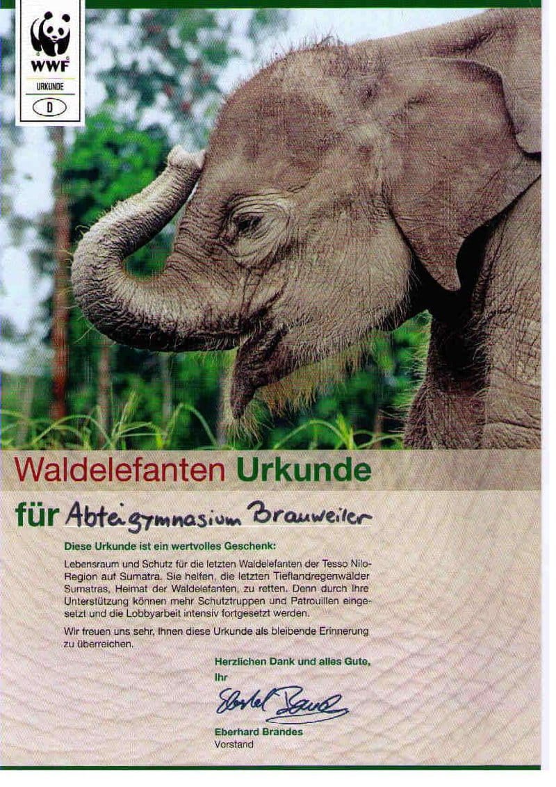 WWF-URKUNDE